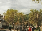 Beattie-Street-2