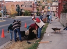 Broadway-downtown-planting-1