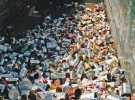 Trash-for-Trees-4