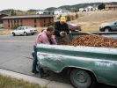 Winne-Planting-9